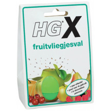 HGX FRUITVLIEGJESVAL