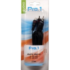 AUDIO 2 TULP MALE -> 2 TULP MALE 2,5M
