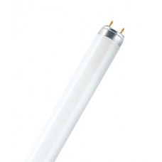 OSRAM TL BUIS 15W/21(840) LUMILUXPLUS HELDERWIT